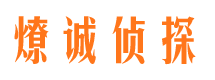 通河市私家侦探